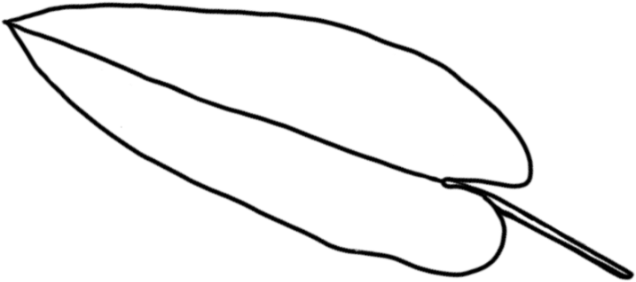 20231215115133_3949 20231215115133_3949