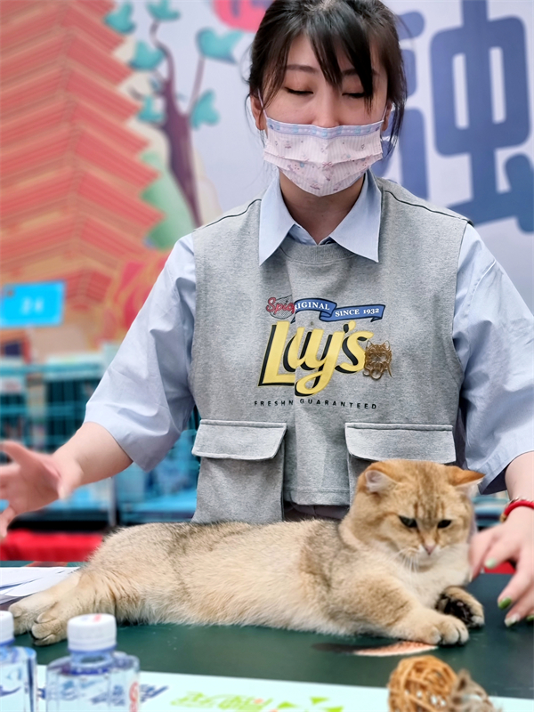首页- 腾博官网诚信为本,专业服务!